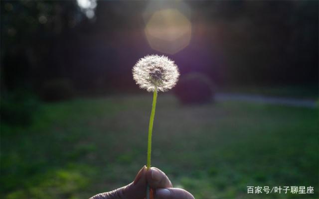 金牛座：所谓真爱，即使让你流泪，也仍旧坚持不弃