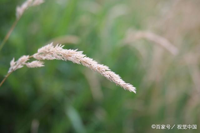 流年似水，岁月蹉跎，10首古诗词，叹十年心事，休休莫莫