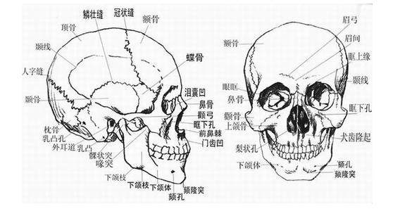 面相：颧骨高就真的不好吗