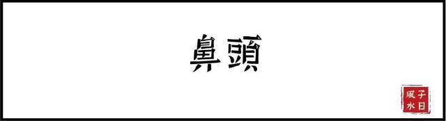 【相术】十五种鼻型，你属于哪种？