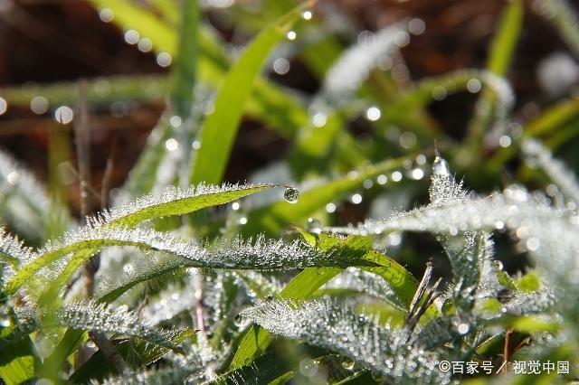 花开是缘，花落成殇，30句古风，难知几番花落，难画时光清浅