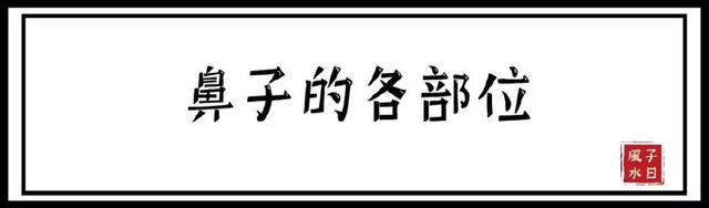 【相术】十五种鼻型，你属于哪种？