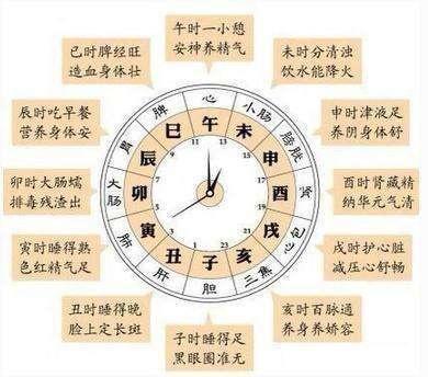 古代命理学是如何将10天干12地支“掐指一算”分布于手掌图中的？