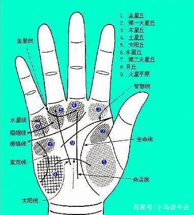 手相九大线纹指的是什么，他们分别有何作用