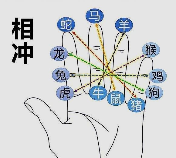 古代命理学是如何将10天干12地支“掐指一算”分布于手掌图中的？