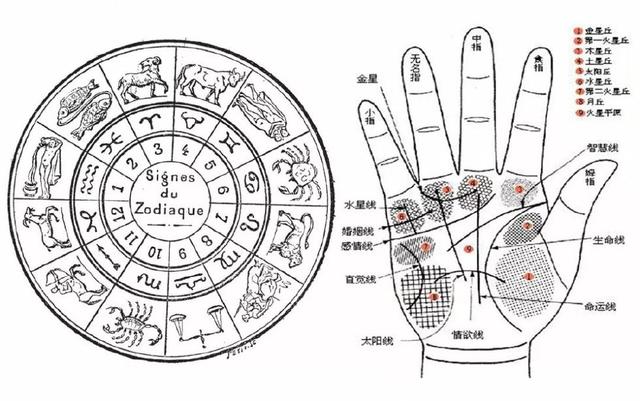 「相术」手相真的能看出一个人命运吗？学习手相的书有哪些？