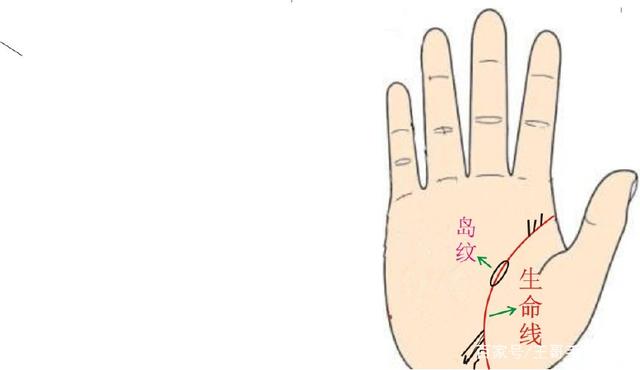 王哥细聊生命线的含义「四」