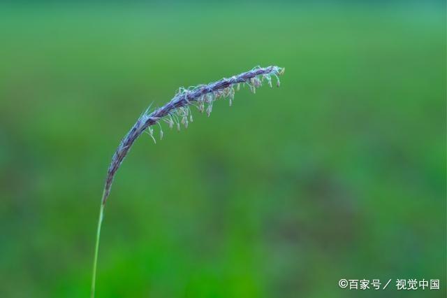 流年似水，岁月蹉跎，10首古诗词，叹十年心事，休休莫莫