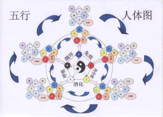 命理基础知识五行生克制化详解，帮你更好的理解五行知识