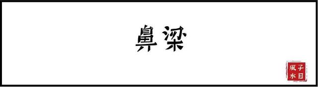 【相术】十五种鼻型，你属于哪种？