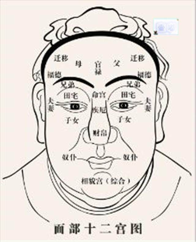 教你怎么看自己的面相好坏和成败 和我一起来看看中国相学的发展