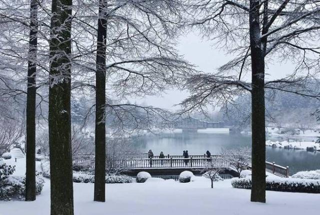 大雪封山救我狗命 网友：这两位女大学生是属狗的吗？