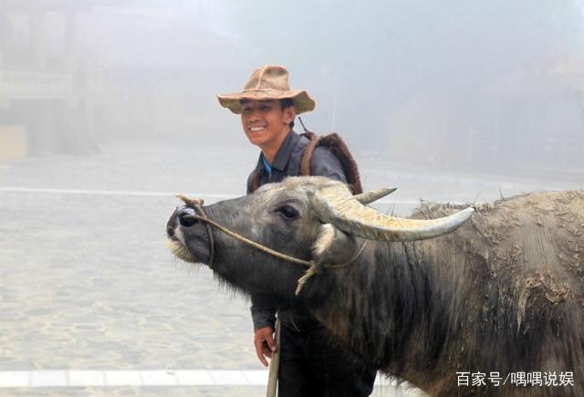 十二生肖排序如此博大精深，老鼠最弱为何能排第一，是有原因的！