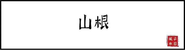 【相术】十五种鼻型，你属于哪种？