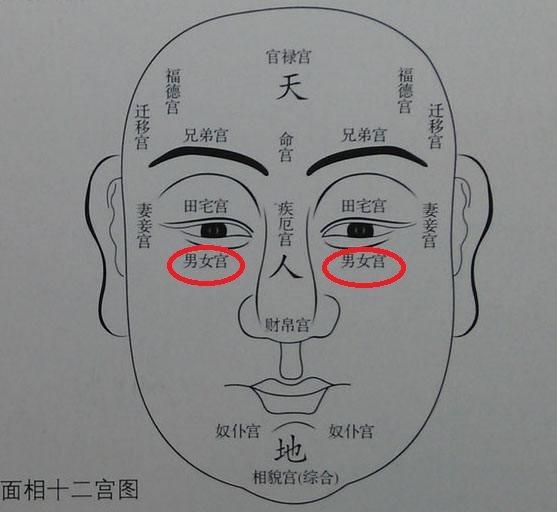 哪里的痣才能被称为泪痣？面部泪痣命理详解！