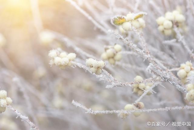 花开是缘，花落成殇，30句古风，难知几番花落，难画时光清浅