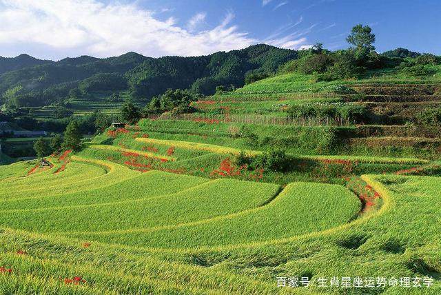 71年的属猪人：别操劳太多，儿孙自有儿孙福！说的是你吗