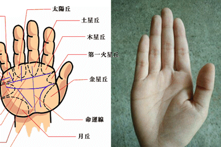 智慧线应该和生命线相连吗 帮你决定未来职业