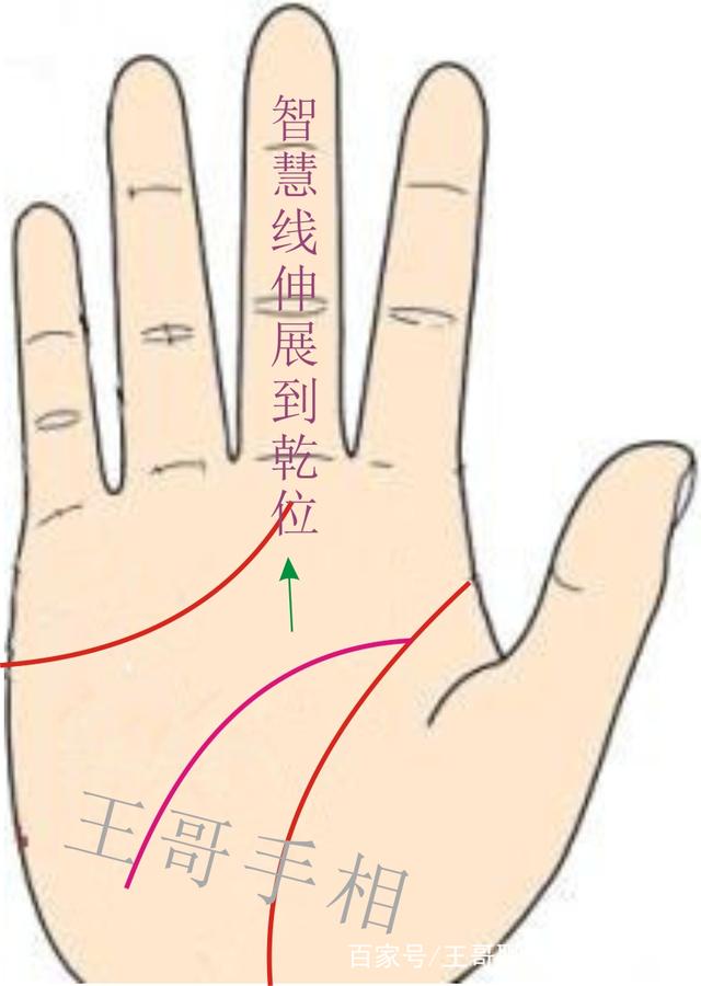 王哥再聊掌中智慧线的含义（一）