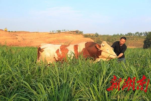 石鼓民生暖民心⑤丨打通乡村旅游“生命线”——石鼓区“打造衡阳市近郊休闲旅游新高地”侧记