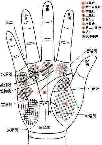 肝脏不好，看“手相”的5个“信号”，若没有，你的肝脏还算健康