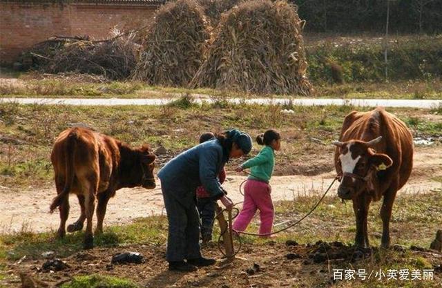 对于农民，土地是我们的生命线！现在的土地分配制度你知道么？