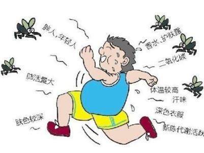 蚊子喜欢叮咬什么血型的人？ 谁是蚊子的“美味大餐”？这5类人最危险