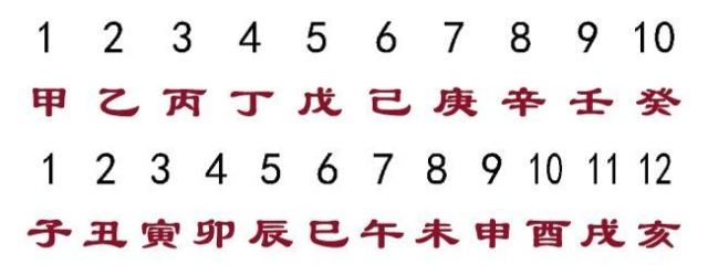 古代命理学是如何将10天干12地支“掐指一算”分布于手掌图中的？