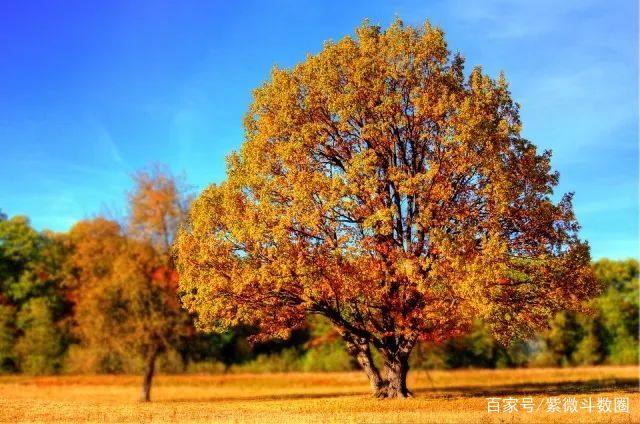 你命盘上的天相是财荫夹还是刑忌夹？紫微斗数宫位浅析