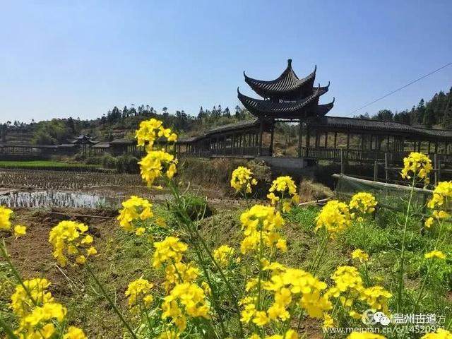 清明访千古明相刘伯温故里，探九龙抢珠之风水宝地