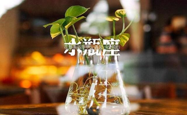 水瓶座2019年全年运势详解