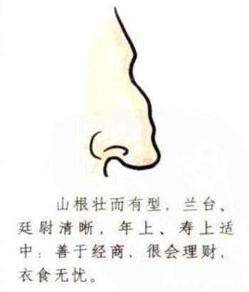 古代相术奇书中的这些鼻子，你来认领一款！看看是吉是凶？