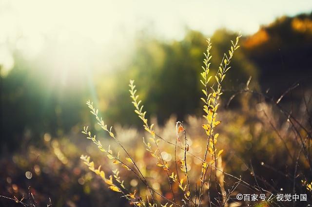 流年似水，岁月蹉跎，10首古诗词，叹十年心事，休休莫莫