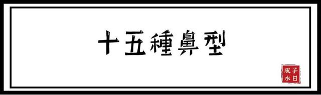 【相术】十五种鼻型，你属于哪种？