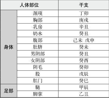 古代命理学是如何将10天干12地支“掐指一算”分布于手掌图中的？