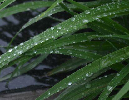 越下雨越有钱的三大生肖，财富雨在七月中旬都跑到这三大生肖家