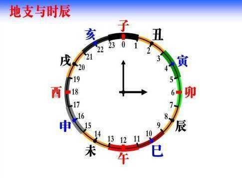 古代命理学是如何将10天干12地支“掐指一算”分布于手掌图中的？