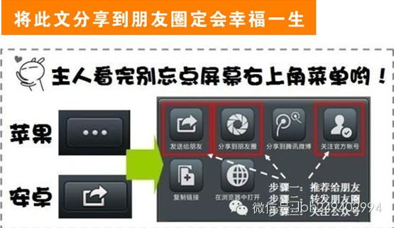 怎样选一个招财的手机号码给自己开运？看看他们怎说？不看必后悔