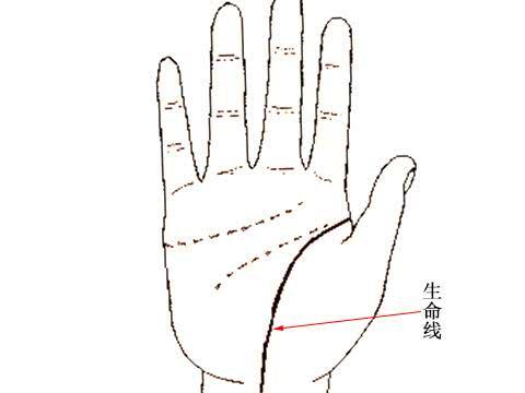 生命线长短真的代表寿命长短吗？其实不然，听老信为您详解