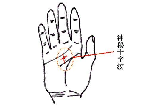 财富越来越多的4大手相，一辈子不缺钱花，福气太强