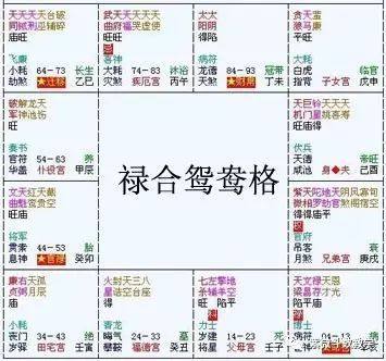 紫微斗数格局：明禄暗禄格、双禄交流格