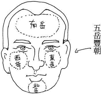 鼻头长痣非富即贵！鼻上各部位长痣命理几何？