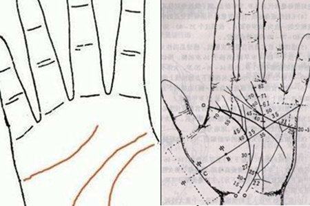 智慧线应该和生命线相连吗 帮你决定未来职业