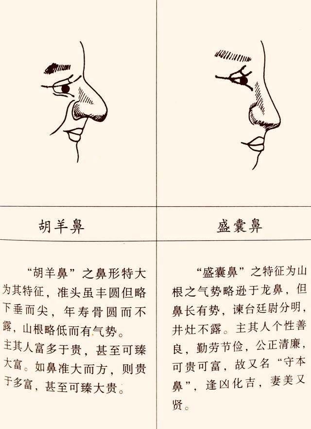 曾国藩看面相：鼻为人生的缩影，什么样的鼻子富贵命