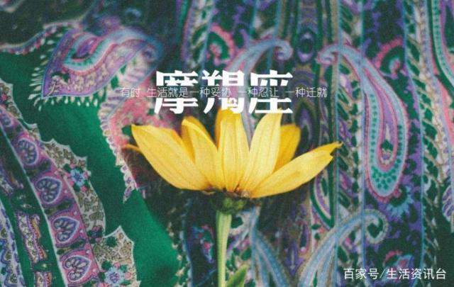 摩羯座2019年全年运势，事业财运不错