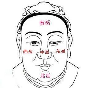 【相术】十五种鼻型，你属于哪种？