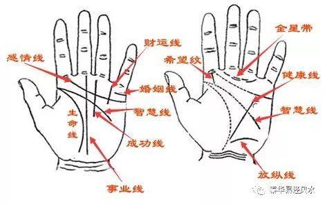 从手相看出你注定是什么样的