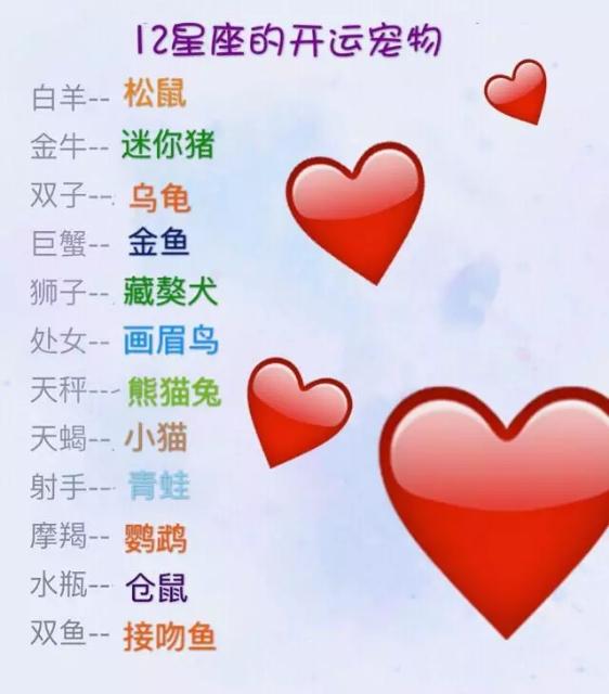 每个人都值得有爱宠，12星座有什么宠物会开运，你知道吗？