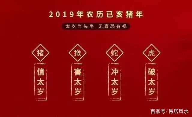 属猪的人在2019己亥年会有怎么样的运势，是不是本命年就一定不好