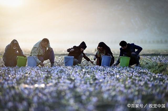 2019年好运不断的水瓶座，艰难的生活，也要坚持下去哦